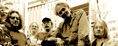 Togges Bandwith Wartels